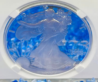 Proof 2022 (S) $1 American Silver Eagle NGC PF70 FDOI Label White Core Mint Condition (1 of 3,825)