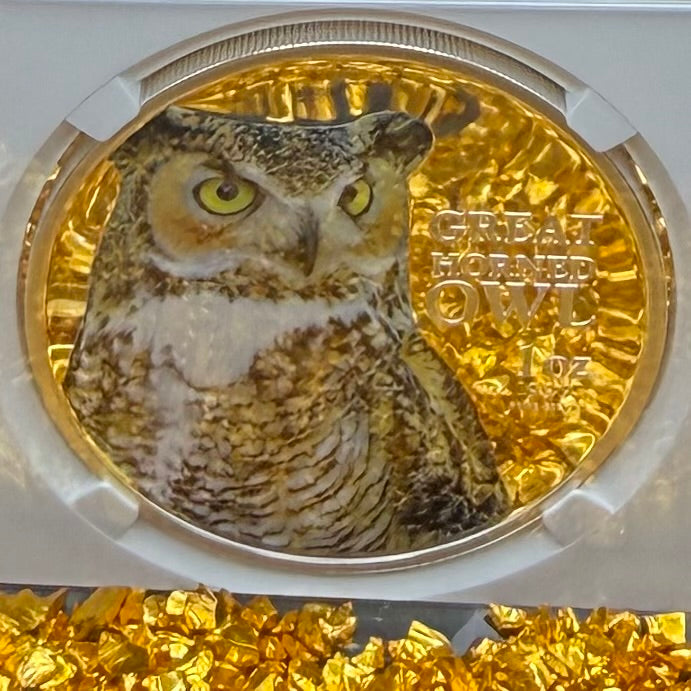 2013 Niue Silver Dollar $2 NGC PF70UC Birds of Prey - Great Horned Owl Colorized (1 of 10) Mint