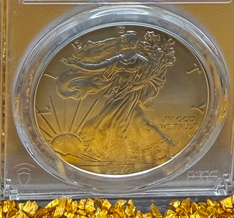 2020 Burnished $1 American Silver Eagle PCGS SP70 Thomas Cleveland Signed Rare Sun Label 1 of 15