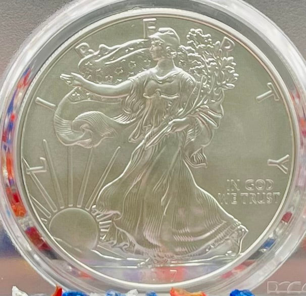 Burnished 2017 (W) $1 American Silver Eagle PCGS SP70 First Strike American Flag Label Mint Condition (1 of 4,869)