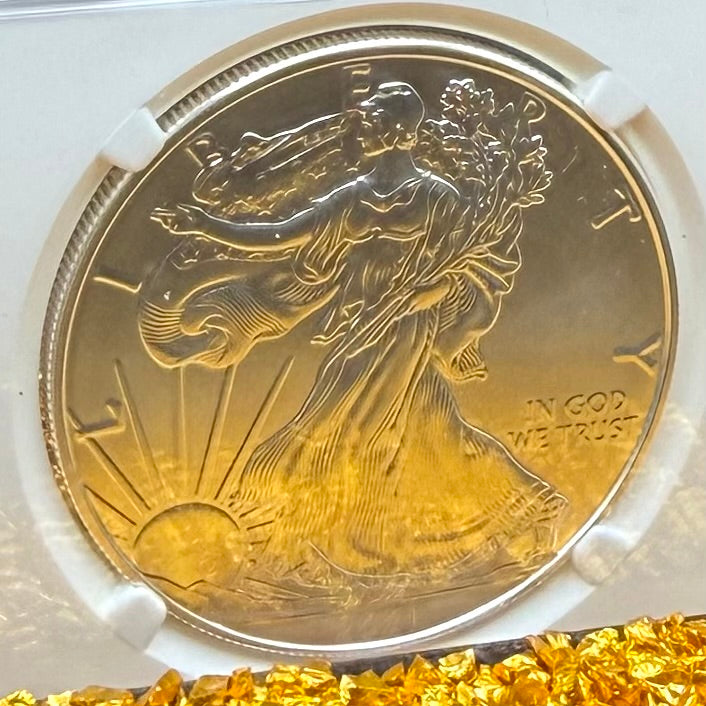 2021 (P) $1 American Silver Eagle NGC MS70 Type 1 FDOI Emergency Issue Mint Condition