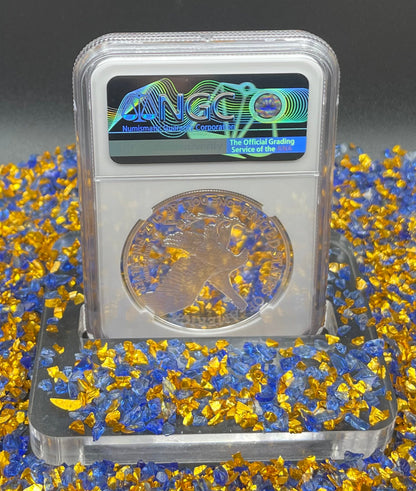 Proof 2022 (W) $1 American Silver Eagle NGC PF70 Early Releases Congratulations Set West Point Gold Start (1 of 1,332)