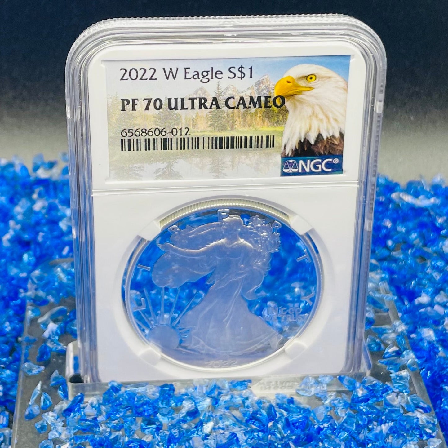 Proof 2022 (W) $1 American Silver Eagle NGC PF70 Eagle Mountain Label (1 of 5,895)