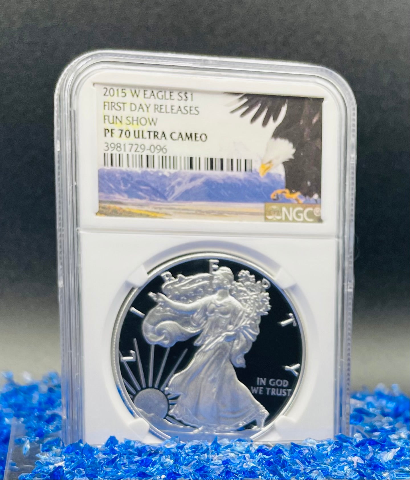 Proof 2015 (W) $1 American Silver Eagle NGC PF70 Fun Show Releases Eagle Mountain Label #372 (1 of 4,365)