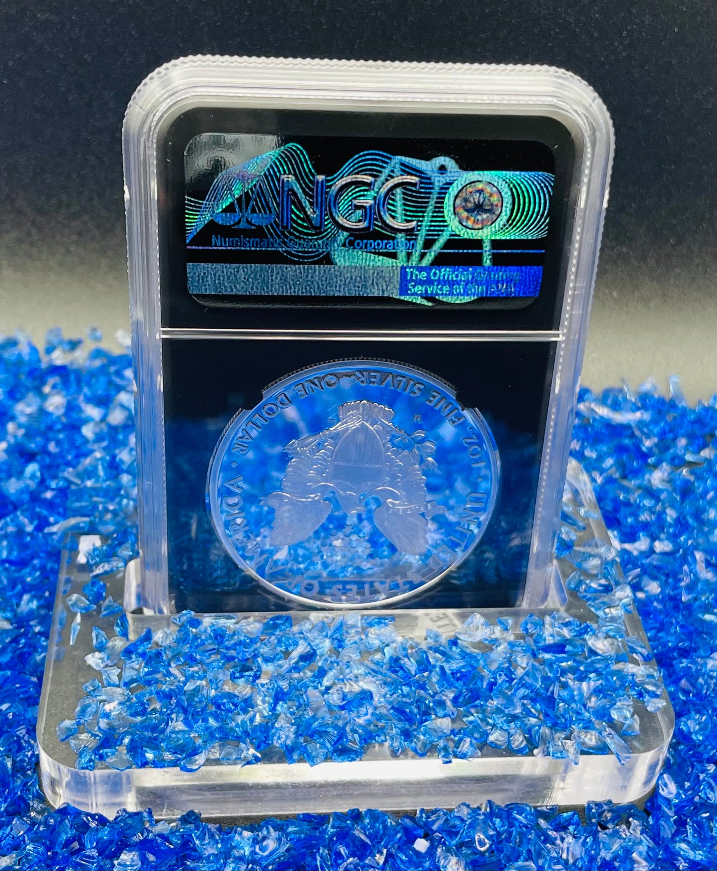 Proof 2021 (W) $1 American Silver Eagle NGC PF70 Type 1 First Releases Heraldic Eagle Label Black Core (1 of 6,854)