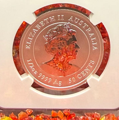 2023 P Silver 50C Australia Lunar Series III Year of the Rabbit Colorized Brown NGC MS70 Red Lunar Label New Holder Mint Condition (1 of 97)