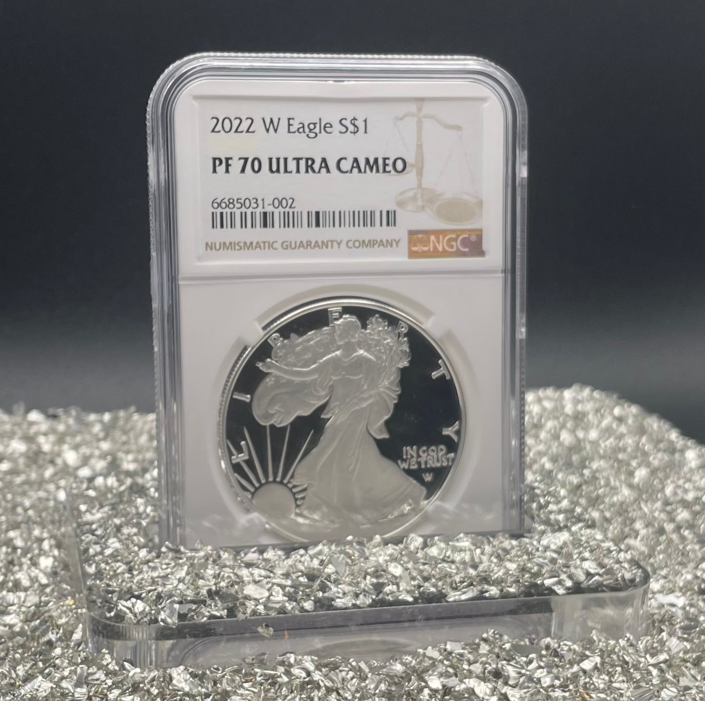 Proof 2022 (W) $1 American Silver Eagle NGC PF70 Modern Brown Label (1 of 5,895)