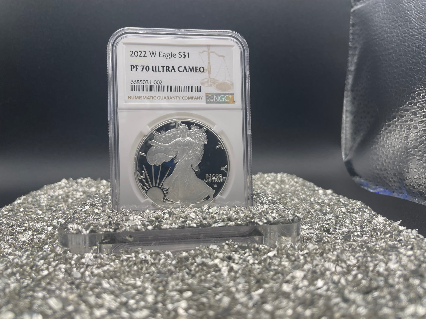 Proof 2022 (W) $1 American Silver Eagle NGC PF70 Modern Brown Label (1 of 5,895)