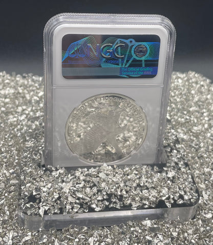 Proof 2022 (W) $1 American Silver Eagle NGC PF70 Modern Brown Label (1 of 5,895)