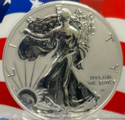 Reverse Proof 2021 Type 1 and Type 2 (2 Coin Set) $1 American Silver Eagle NGC PF69 Heraldic Eagle Label Flag Holder Mint Condition