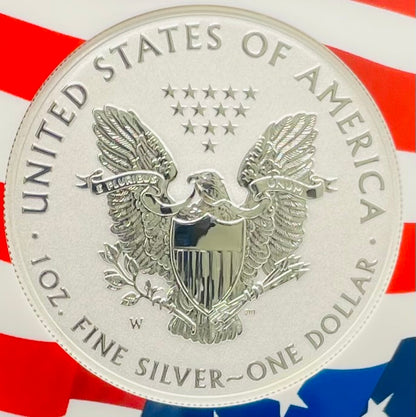 Reverse Proof 2021 Type 1 and Type 2 (2 Coin Set) $1 American Silver Eagle NGC PF69 Heraldic Eagle Label Flag Holder Mint Condition