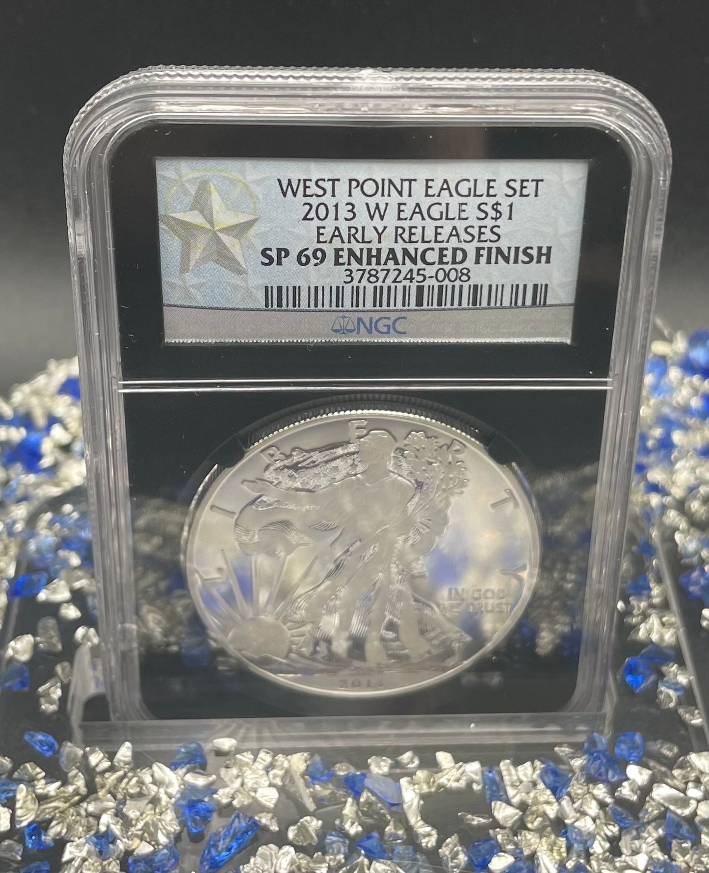 Reverse Proof & Enhanced Finish (2 Coin Set) 2013 (W) $1 American Silver Eagle NGC PF69 Black Core Holder West Point Silver Star Label