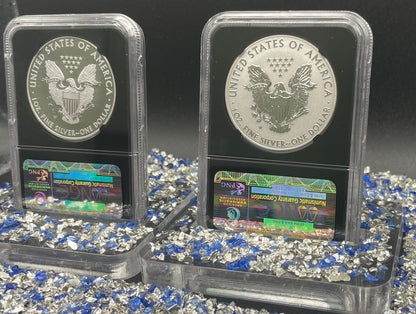 Reverse Proof & Enhanced Finish (2 Coin Set) 2013 (W) $1 American Silver Eagle NGC PF69 Black Core Holder West Point Silver Star Label