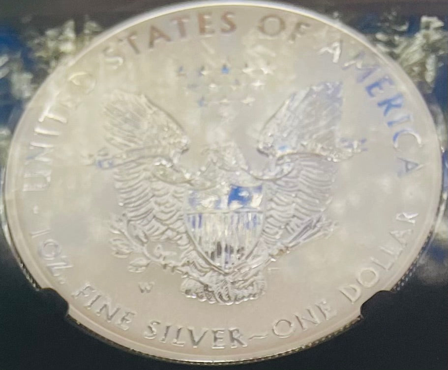 Reverse Proof & Enhanced Finish (2 Coin Set) 2013 (W) $1 American Silver Eagle NGC PF69 Black Core Holder West Point Silver Star Label