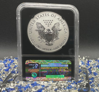 Reverse Proof 2012 (S) $1 American Silver Eagle NGC PF69 Black Core Holder Mint Condition (1 of 11,780)