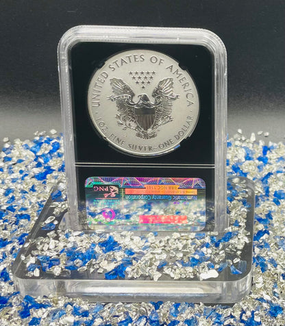 Reverse Proof 2012 (S) $1 American Silver Eagle NGC PF69 Black Core Holder Mint Condition (1 of 11,780)
