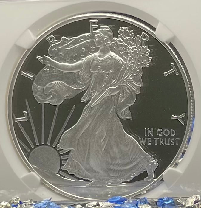 Proof 2015 (W) $1 American Silver Eagle NGC PF70 Early Releases Modern Blue Label Mint Condition (1 of 9,265)