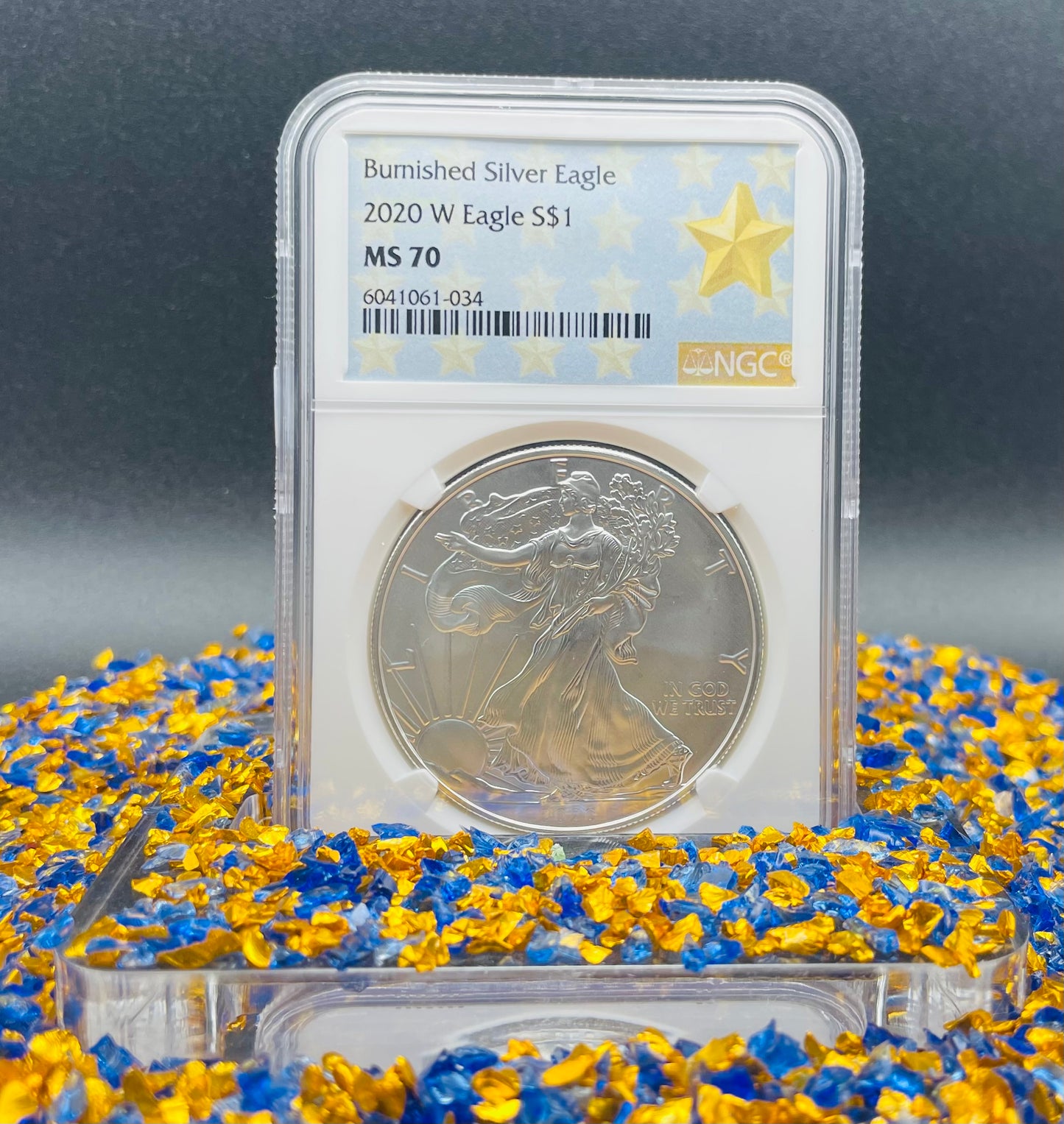 Burnished 2020 (W) $1 American Silver Eagle NGC MS70 West Point Gold Star Label Mint Condition (1 of 5,460)
