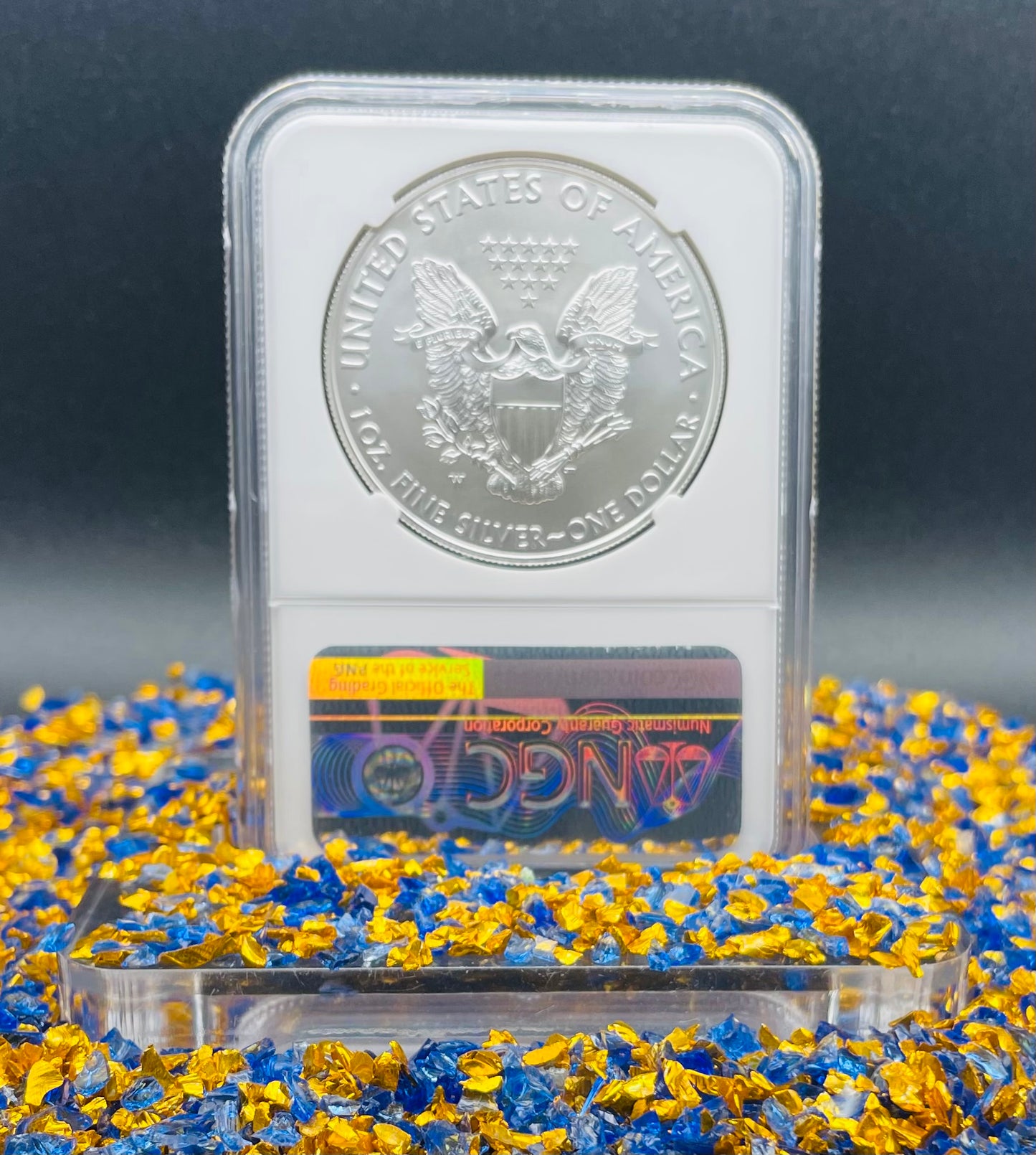 Burnished 2020 (W) $1 American Silver Eagle NGC MS70 West Point Gold Star Label Mint Condition (1 of 5,460)