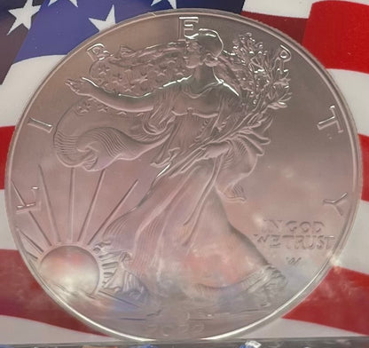 2022 $1 American Silver Eagle NGC MS70 New Years Edition Ultra Rare Holder