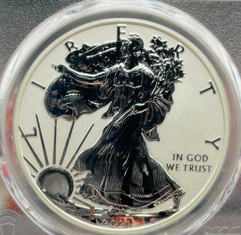 Reverse Proof 2021 Type 1 and Type 2 (2 Coin Set) $1 American Silver Eagle PCGS PF69 FDOI Designer Edition American Flag Holder Mint Condition