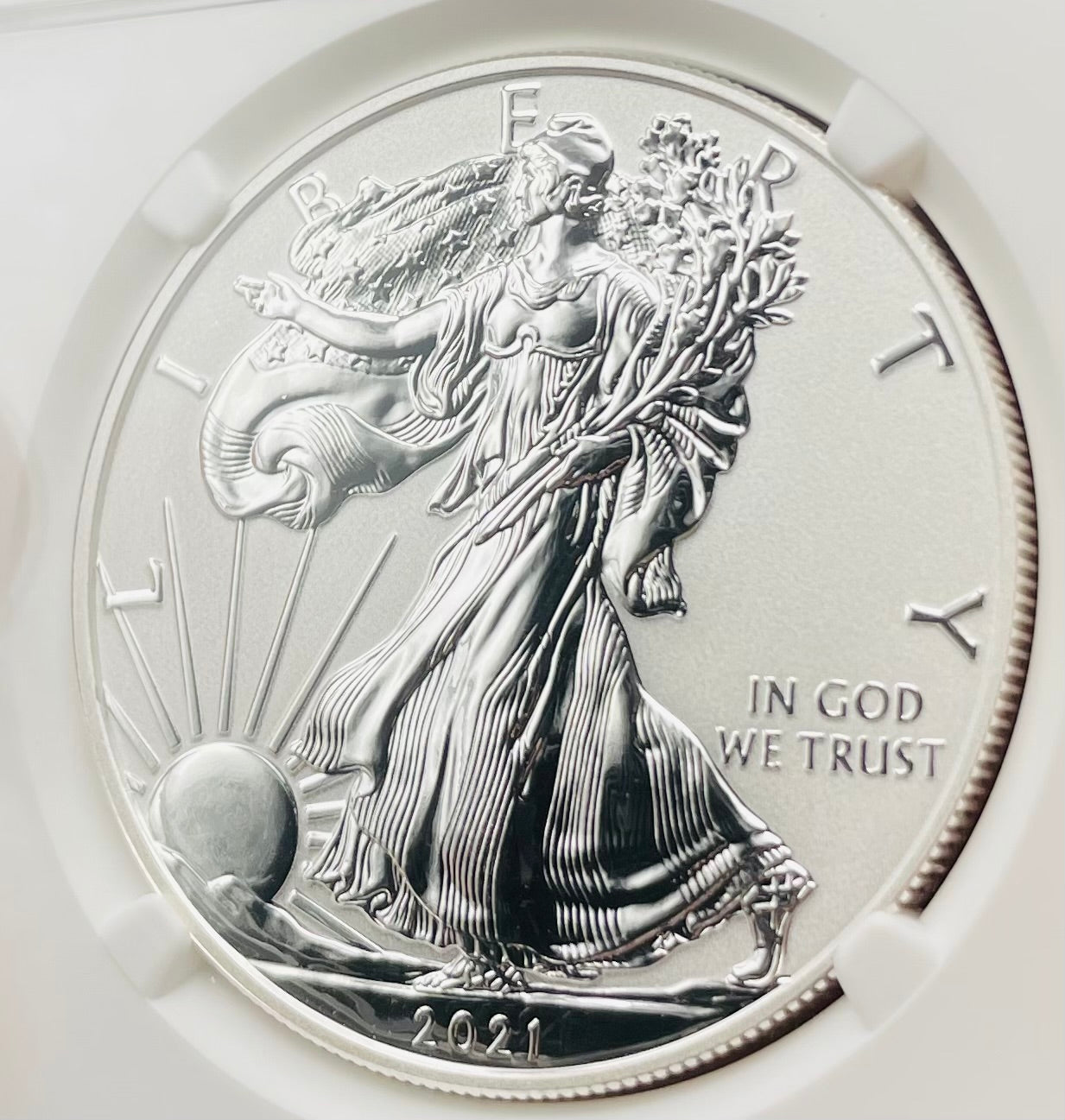Reverse Proof 2021 (W) $1 American Silver Eagle NGC PF69 Type 1 Silver Design Set 35th Anniversary Label Mint Condition (1 of 2,477)