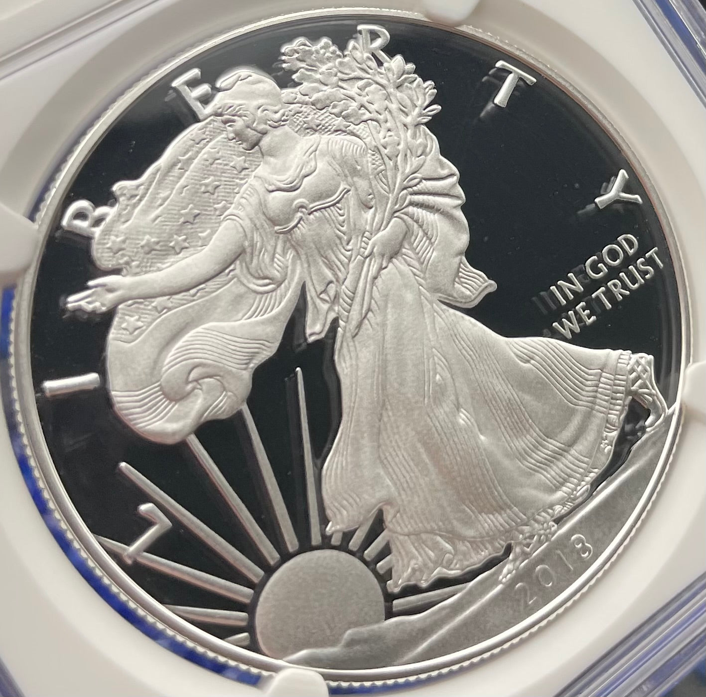 Proof 2018 (W) $1 American Silver Eagle NGC PF70 Modern Brown Label Mint Condition (1 of 5,493)