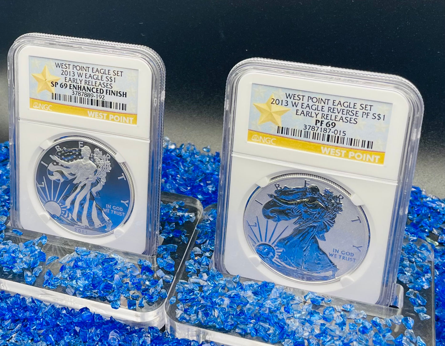 Reverse Proof & Enhanced Finish (2 Coin Set) 2013 (W) $1 American Silver Eagle NGC PF69 White Core Holder West Point Gold Star Label