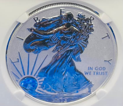 Reverse Proof & Enhanced Finish (2 Coin Set) 2013 (W) $1 American Silver Eagle NGC PF69 White Core Holder West Point Gold Star Label