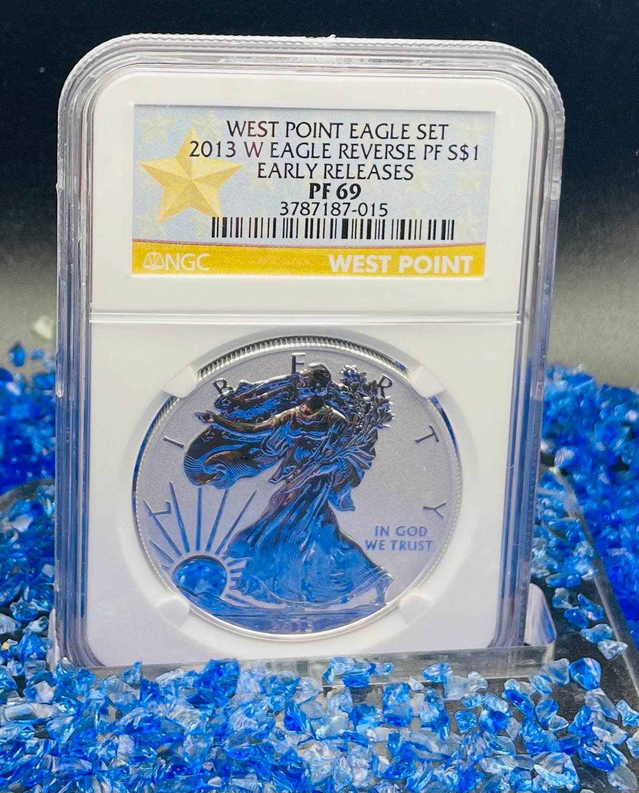 Reverse Proof & Enhanced Finish (2 Coin Set) 2013 (W) $1 American Silver Eagle NGC PF69 White Core Holder West Point Gold Star Label