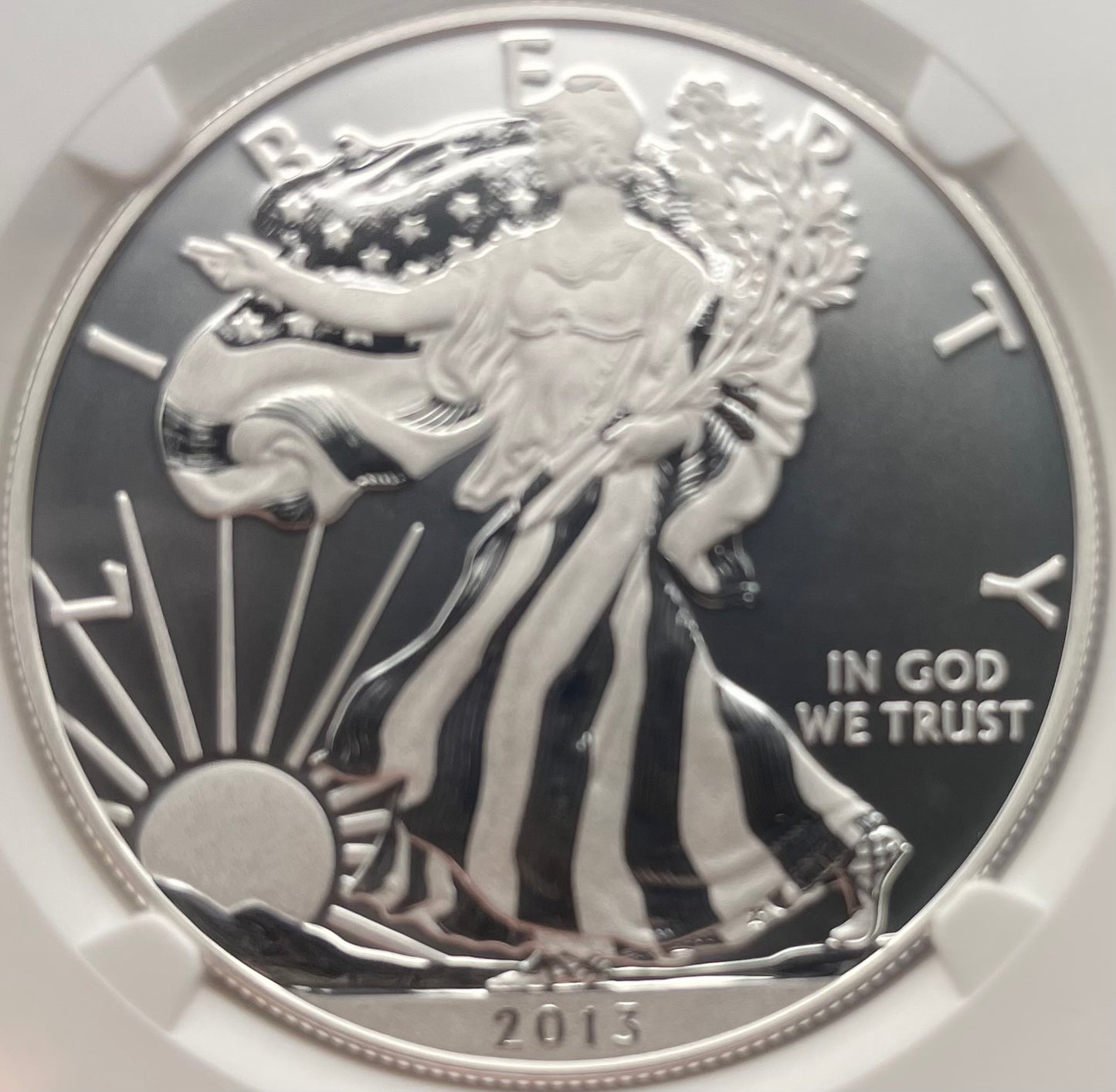 Reverse Proof & Enhanced Finish (2 Coin Set) 2013 (W) $1 American Silver Eagle NGC PF69 White Core Holder West Point Gold Star Label