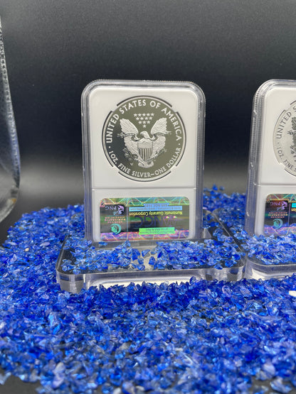 Reverse Proof & Enhanced Finish (2 Coin Set) 2013 (W) $1 American Silver Eagle NGC PF69 White Core Holder West Point Gold Star Label