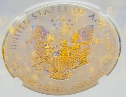 Reverse Proof 2013 (W) $1 American Silver Eagle NGC PF70 OFFICIAL US MINT SET Original West Point Gold Star Label Rare Mint Condition