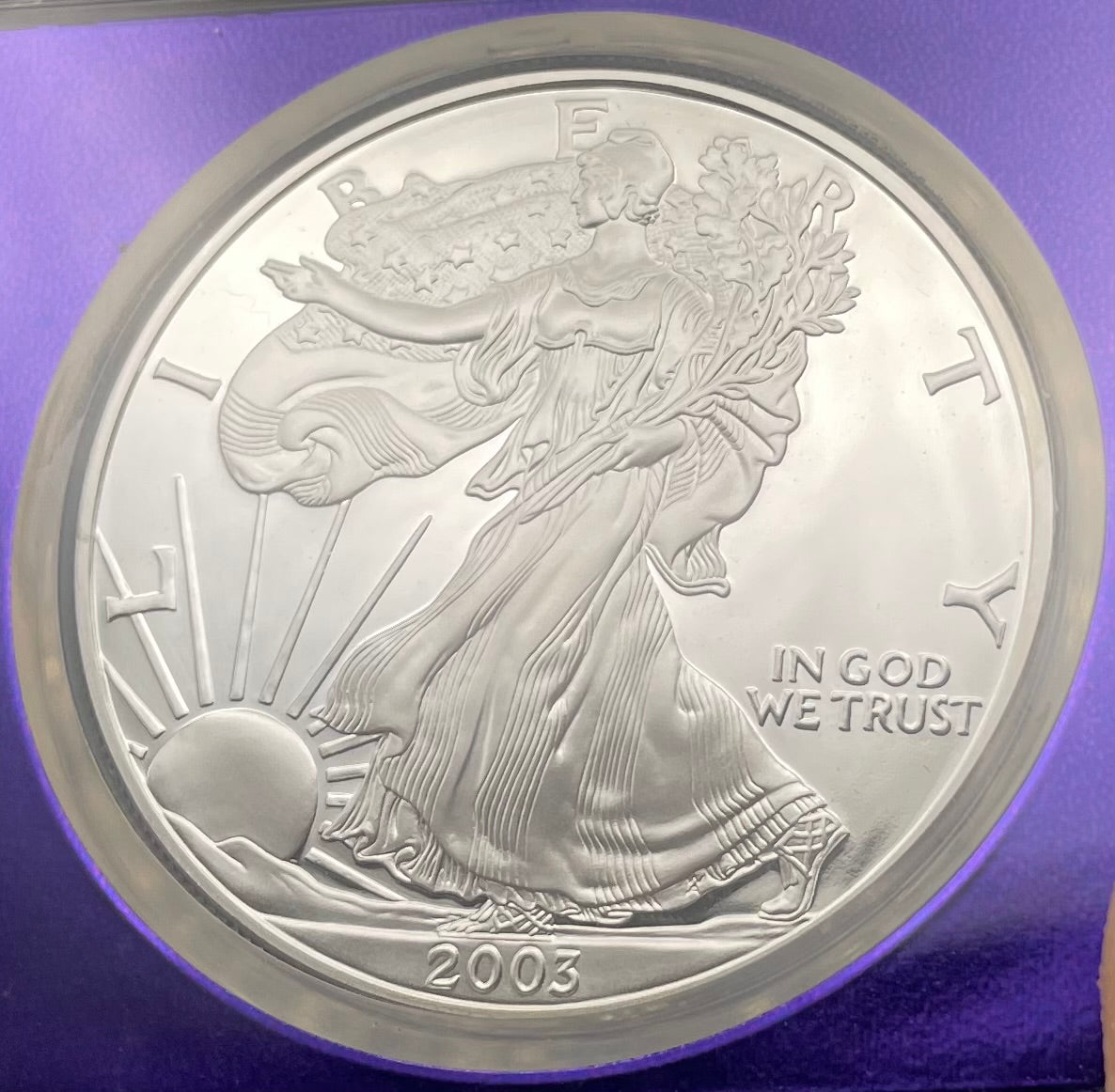 Proof 2003 (W) $1 American Silver Eagle NGC PF69 Trader Bea Private Issue Purple Foil New Holder Rare