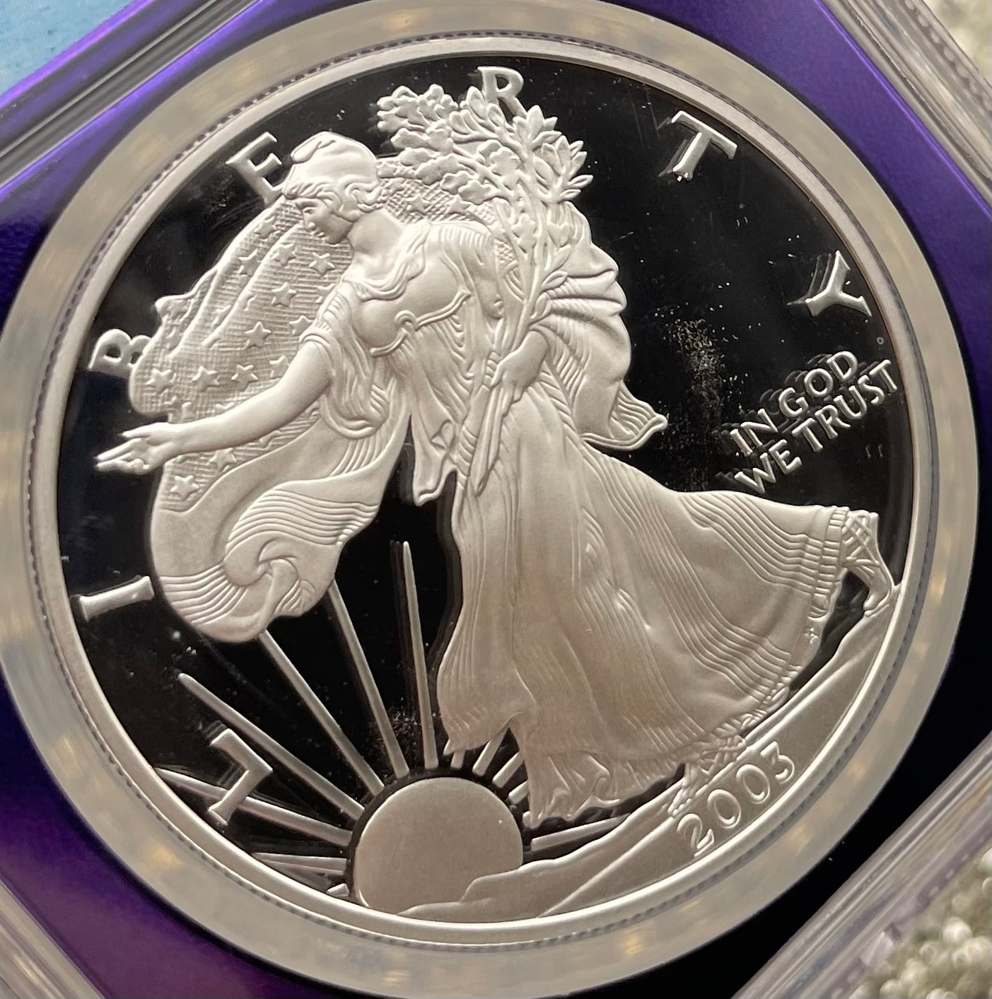 Proof 2003 (W) $1 American Silver Eagle NGC PF69 Trader Bea Private Issue Purple Foil Holder Rare