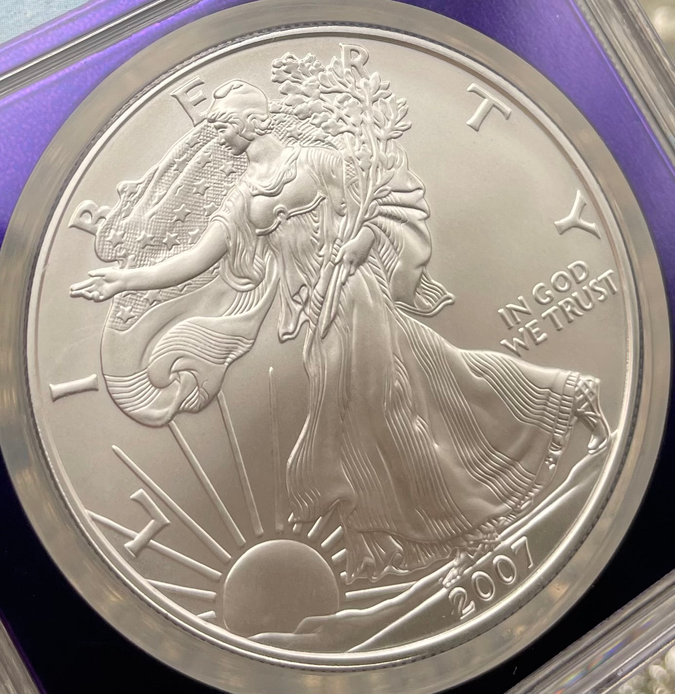 Burnished 2007 $1 (W) American Silver Eagle NGC MS70 Private Issue Limited Edition Trader Bea Purple Holder Mint Condition