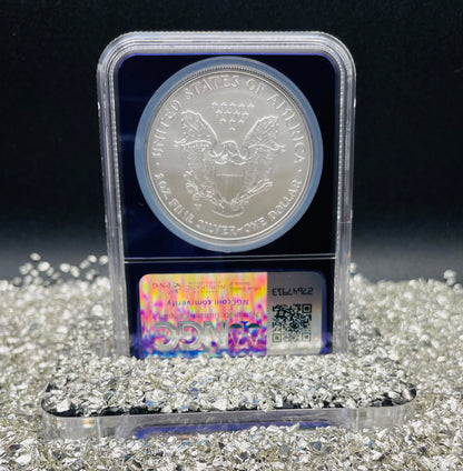 Burnished 2007 $1 (W) American Silver Eagle NGC MS70 Private Issue Limited Edition Trader Bea Purple Holder Mint Condition