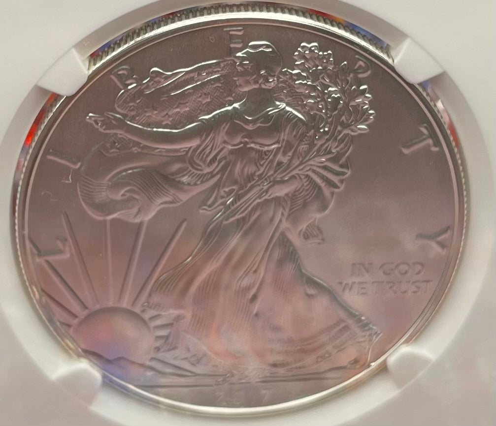 Burnished 2017 (W) $1 American Silver Eagle NGC MS70 Rare Premier Select Series Label Mint Condition