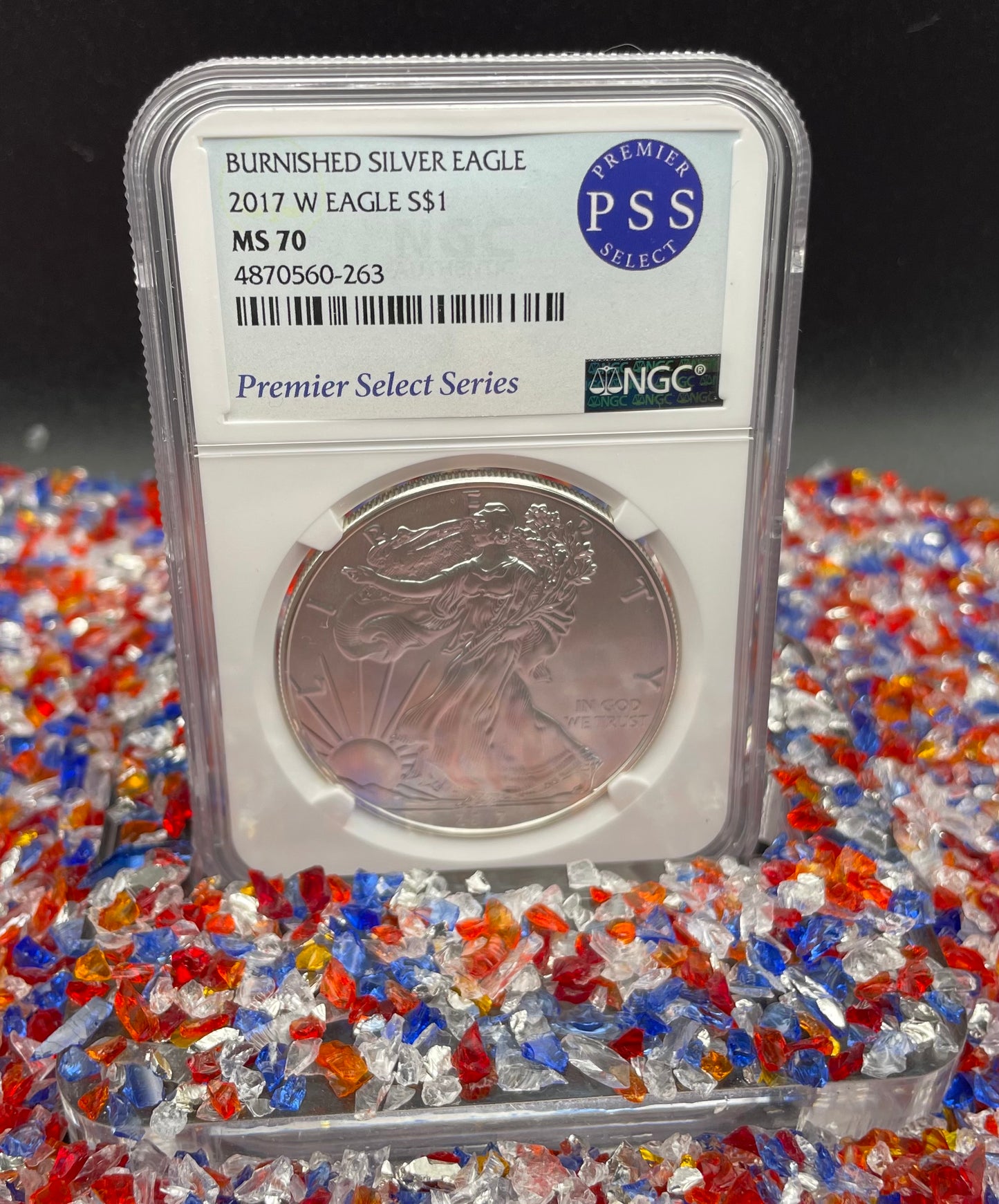 Burnished 2017 (W) $1 American Silver Eagle NGC MS70 Rare Premier Select Series Label Mint Condition