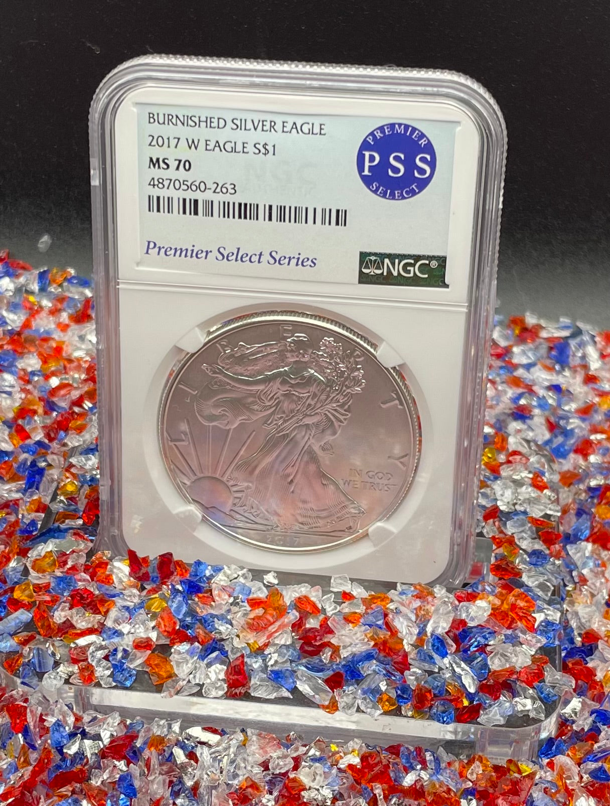 Burnished 2017 (W) $1 American Silver Eagle NGC MS70 Rare Premier Select Series Label Mint Condition