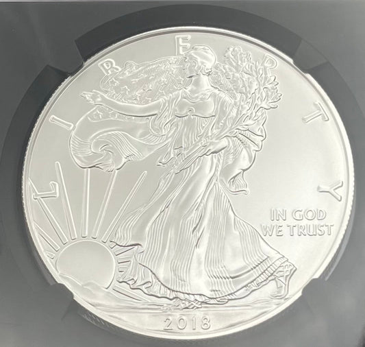 Burnished 2018 (W) $1 American Silver Eagle NGC MS70 First Releases Black Core with Eagle Label Mint Condition (1 of 658)
