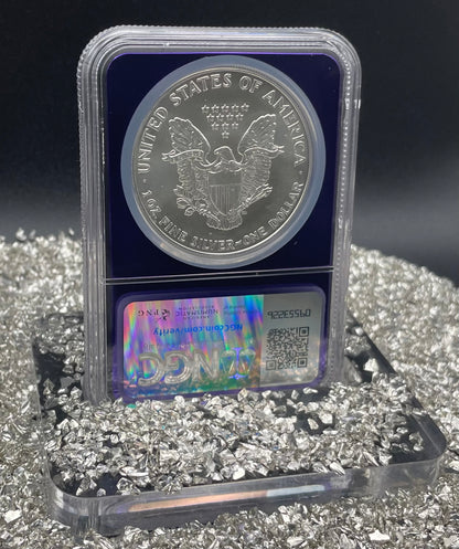 1987 $1 American Silver Eagle NGC MS69 Rare Purple Holder Trader Bea Private Issue