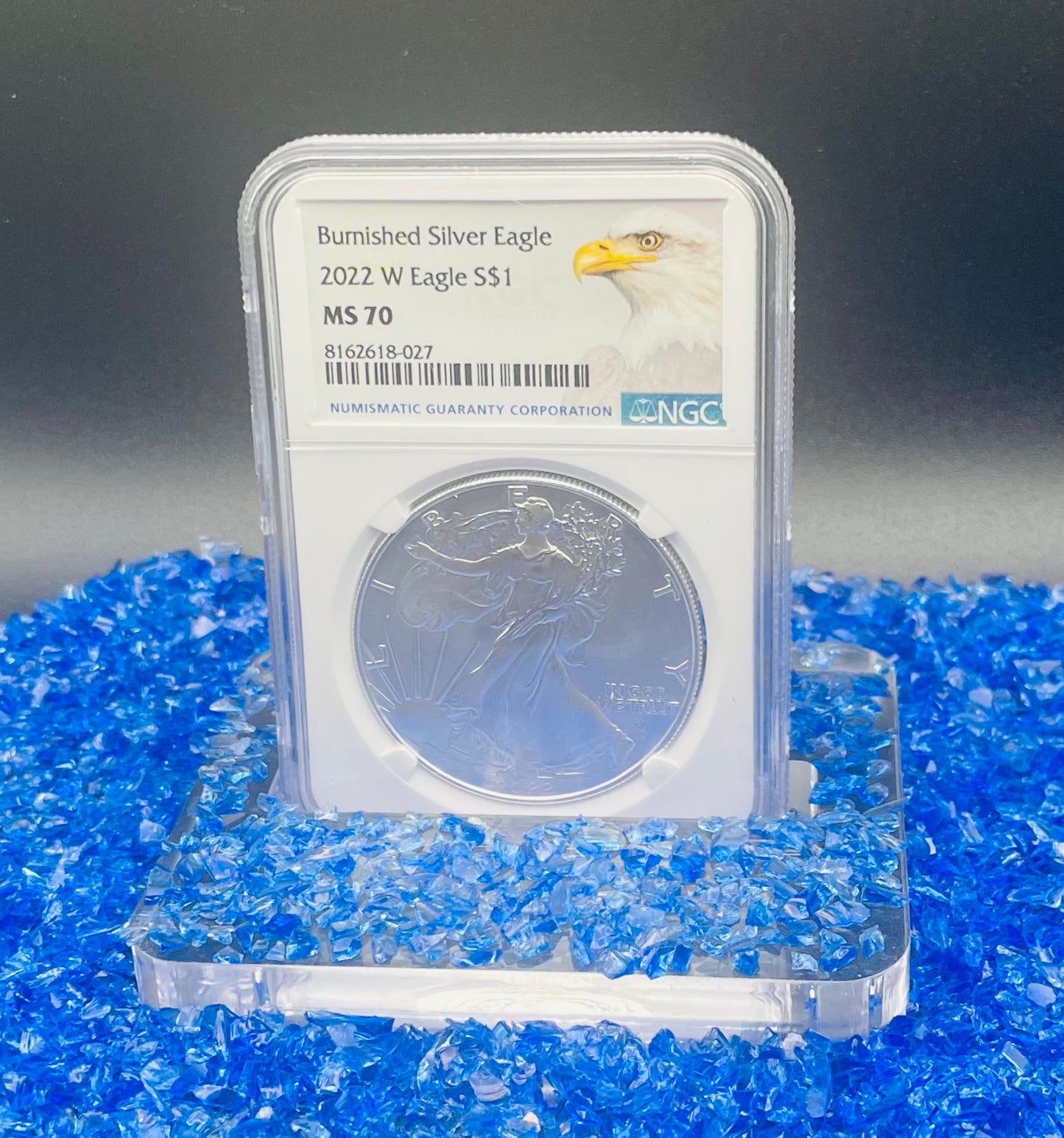 Burnished 2022 (W) $1 American Silver Eagle NGC MS70 Rare Silver Eagle Label
