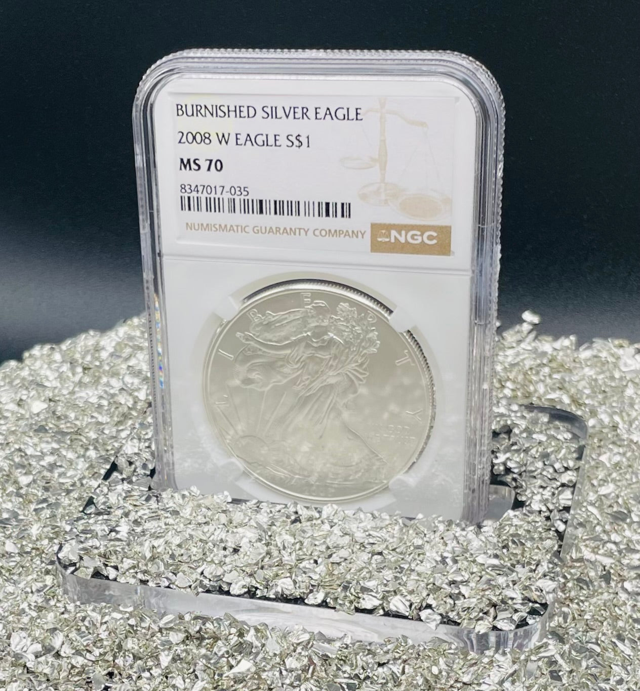 Burnished 2008 $1 (W) American Silver Eagle NGC MS70 Brown Label Mint Condition