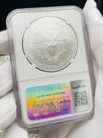 Burnished 2008 $1 (W) American Silver Eagle NGC MS70 Brown Label Mint Condition