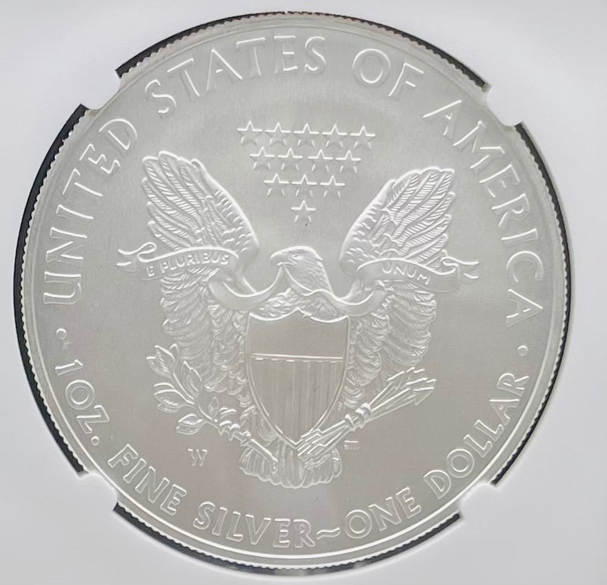 Burnished 2008 $1 (W) American Silver Eagle NGC MS70 Brown Label Mint Condition