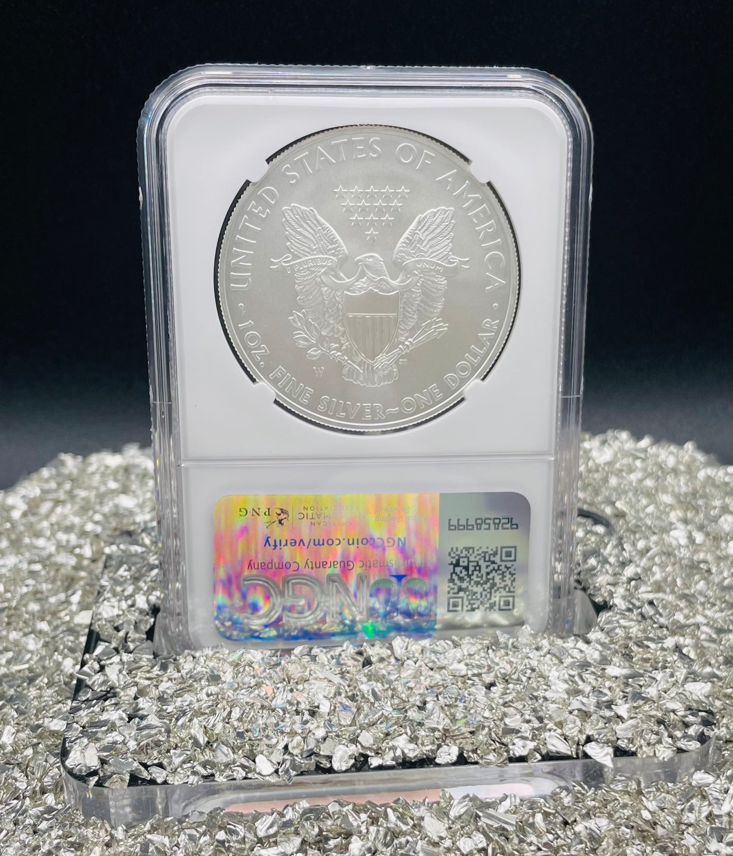 Burnished 2008 $1 (W) American Silver Eagle NGC MS70 Brown Label Mint Condition