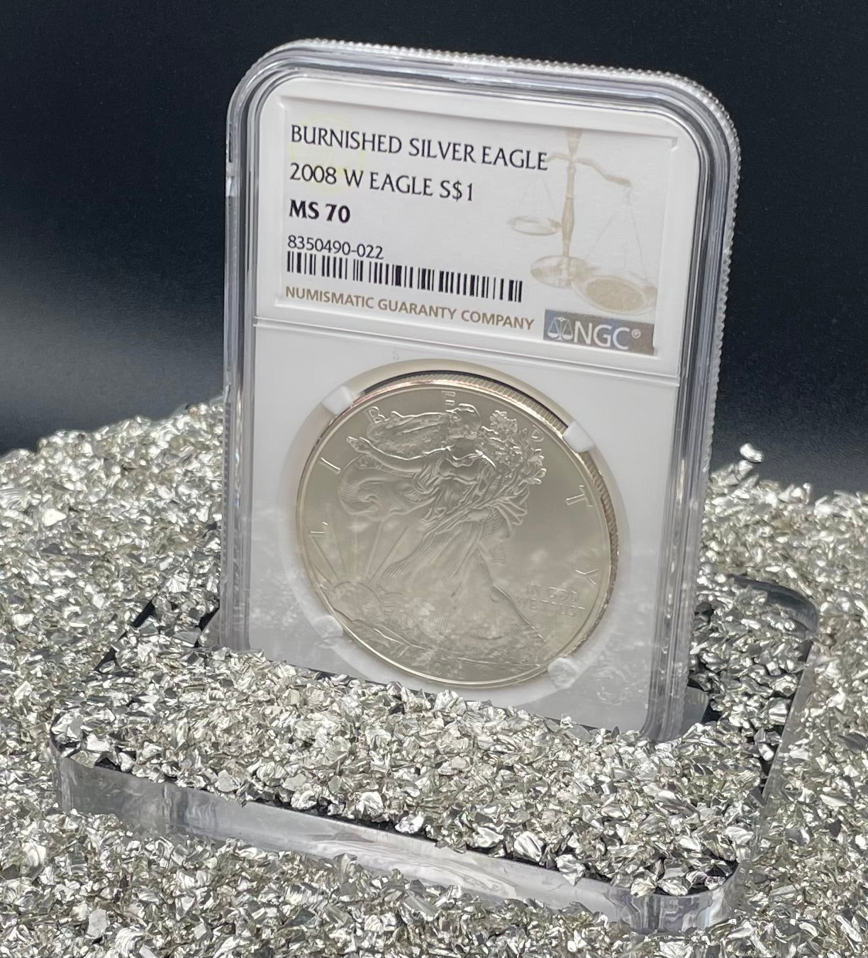 Burnished 2008 $1 (W) American Silver Eagle NGC MS70 Brown Label Mint Condition