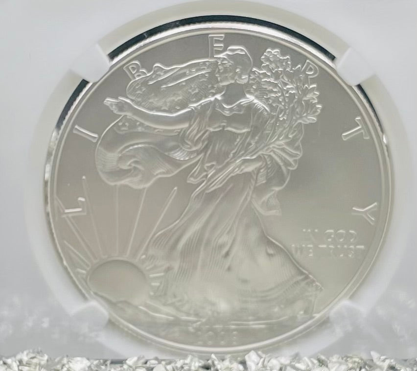 Burnished 2008 $1 (W) American Silver Eagle NGC MS70 Brown Label Mint Condition