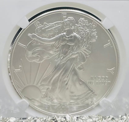 Burnished 2008 $1 (W) American Silver Eagle NGC MS70 Brown Label Mint Condition